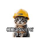 【ヨシ！】現場仕事/猫/ねこ/ネコ（個別スタンプ：13）