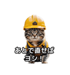 【ヨシ！】現場仕事/猫/ねこ/ネコ（個別スタンプ：14）