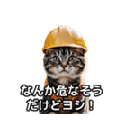 【ヨシ！】現場仕事/猫/ねこ/ネコ（個別スタンプ：16）