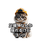 【ヨシ！】現場仕事/猫/ねこ/ネコ（個別スタンプ：18）