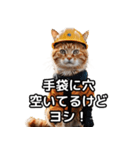 【ヨシ！】現場仕事/猫/ねこ/ネコ（個別スタンプ：19）