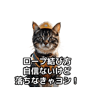 【ヨシ！】現場仕事/猫/ねこ/ネコ（個別スタンプ：23）