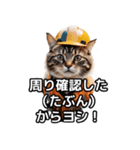 【ヨシ！】現場仕事/猫/ねこ/ネコ（個別スタンプ：24）