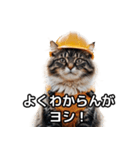 【ヨシ！】現場仕事/猫/ねこ/ネコ（個別スタンプ：25）