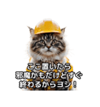 【ヨシ！】現場仕事/猫/ねこ/ネコ（個別スタンプ：26）