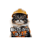 【ヨシ！】現場仕事/猫/ねこ/ネコ（個別スタンプ：27）