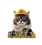 【ヨシ！】現場仕事/猫/ねこ/ネコ（個別スタンプ：29）