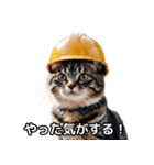 【ヨシ！】現場仕事/猫/ねこ/ネコ（個別スタンプ：31）