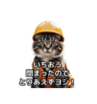 【ヨシ！】現場仕事/猫/ねこ/ネコ（個別スタンプ：32）