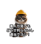 【ヨシ！】現場仕事/猫/ねこ/ネコ（個別スタンプ：34）