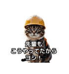 【ヨシ！】現場仕事/猫/ねこ/ネコ（個別スタンプ：36）