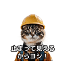 【ヨシ！】現場仕事/猫/ねこ/ネコ（個別スタンプ：37）