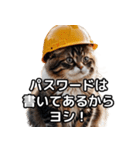 【ヨシ！】現場仕事/猫/ねこ/ネコ（個別スタンプ：38）