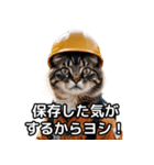 【ヨシ！】現場仕事/猫/ねこ/ネコ（個別スタンプ：39）