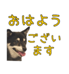 黒豆健太スタンプ8（個別スタンプ：2）