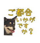 黒豆健太スタンプ8（個別スタンプ：30）