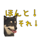 黒豆健太スタンプ8（個別スタンプ：32）