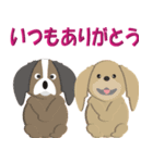 犬スタンプ 第3弾（個別スタンプ：4）