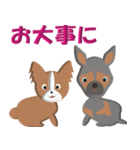 犬スタンプ 第3弾（個別スタンプ：7）