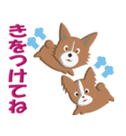 犬スタンプ 第3弾（個別スタンプ：12）