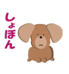 犬スタンプ 第3弾（個別スタンプ：15）