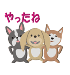 犬スタンプ 第3弾（個別スタンプ：38）