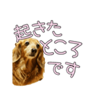 はなのスタンプの巻3（個別スタンプ：6）