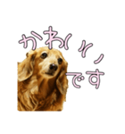 はなのスタンプの巻3（個別スタンプ：15）