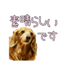 はなのスタンプの巻3（個別スタンプ：16）