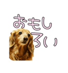 はなのスタンプの巻3（個別スタンプ：27）