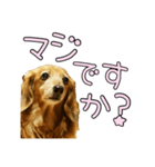 はなのスタンプの巻3（個別スタンプ：32）