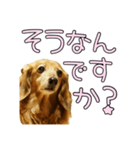 はなのスタンプの巻3（個別スタンプ：33）