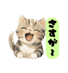 かわいい猫たちの返事（個別スタンプ：11）