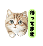 かわいい猫たちの返事（個別スタンプ：21）