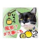 ミツ夫さんの日常スタンプ 新春バージョン（個別スタンプ：21）