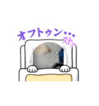 さいとうけいすけ空色CH（個別スタンプ：8）