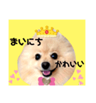 はる王子になれるのか？（個別スタンプ：1）