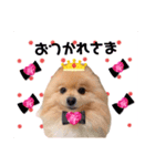 はる王子になれるのか？（個別スタンプ：2）