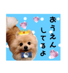 はる王子になれるのか？（個別スタンプ：3）