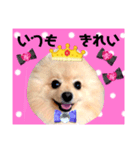 はる王子になれるのか？（個別スタンプ：4）