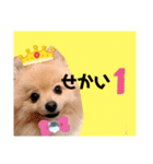 はる王子になれるのか？（個別スタンプ：5）