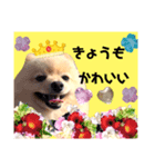 はる王子になれるのか？（個別スタンプ：7）