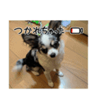 はっぴーはっぴーはっぴ〜（個別スタンプ：30）