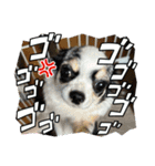 はっぴーはっぴーはっぴ〜（個別スタンプ：39）
