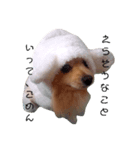 ギャルマインドみたいな犬の はる（個別スタンプ：7）