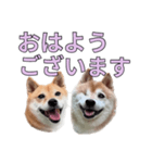 こたちよのスタンプの巻2（個別スタンプ：2）