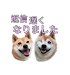 こたちよのスタンプの巻2（個別スタンプ：13）