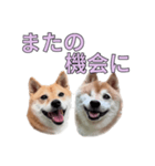 こたちよのスタンプの巻2（個別スタンプ：18）