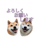 こたちよのスタンプの巻2（個別スタンプ：26）