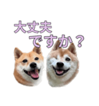 こたちよのスタンプの巻2（個別スタンプ：27）